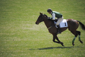 Green Spring Valley Point-to-Point